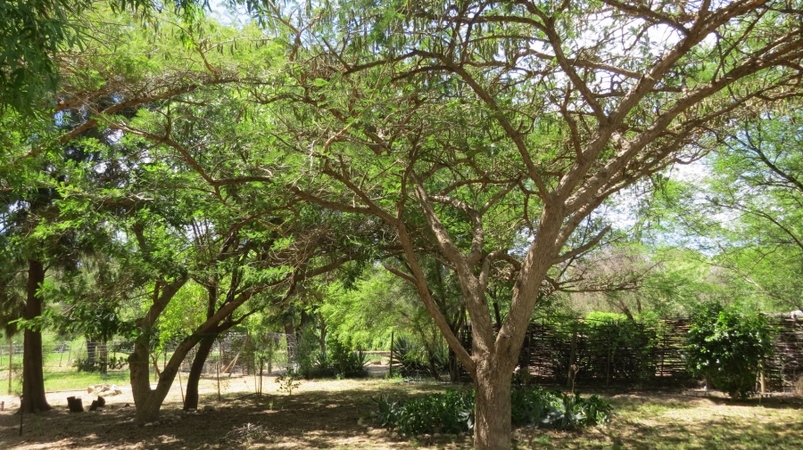 Commercial Property for Sale in Montagu Western Cape